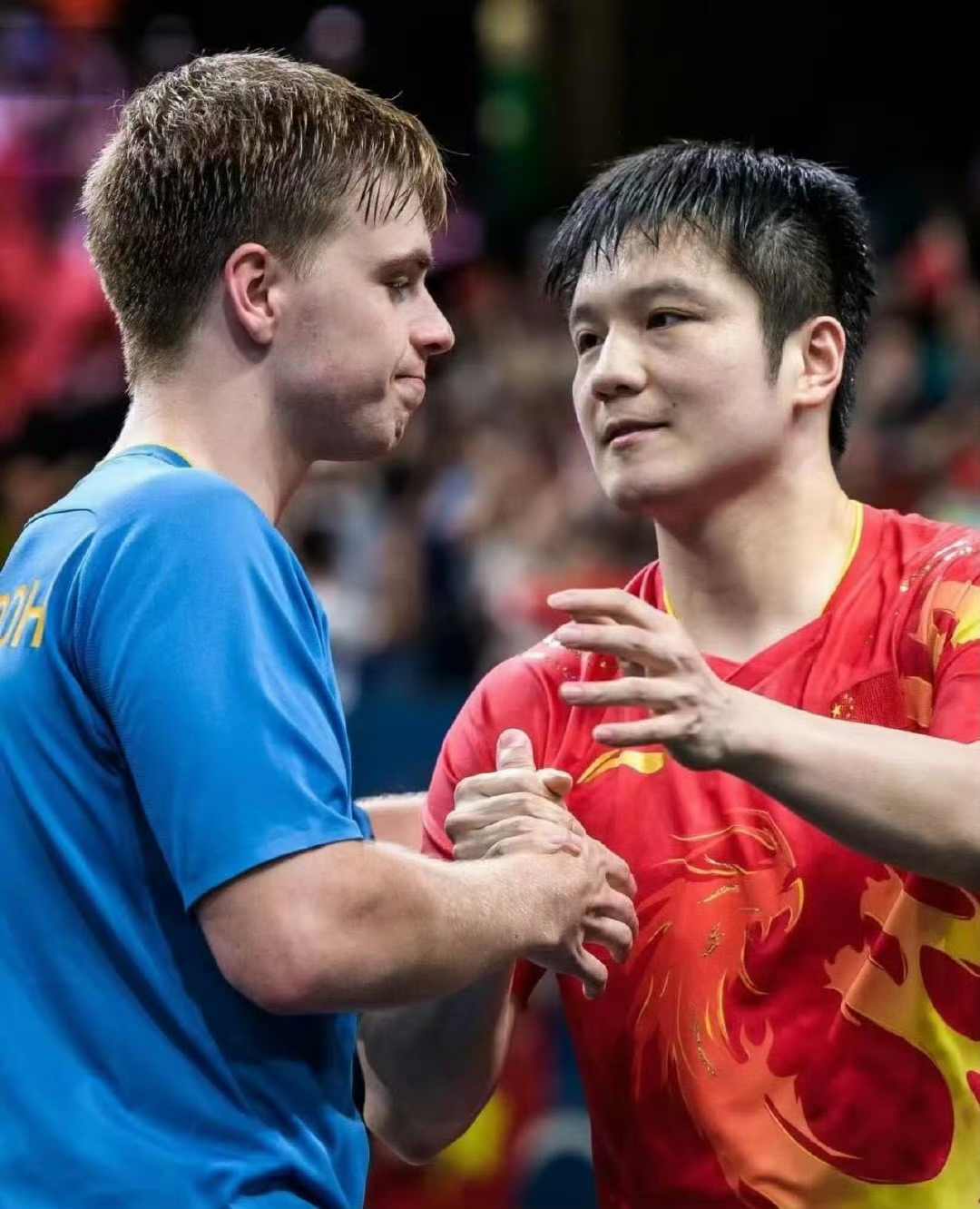 瑞典队鏖战英格兰队,樊振东点燃赛场 瑞典队鏖战英格兰队,樊振东点燃赛场