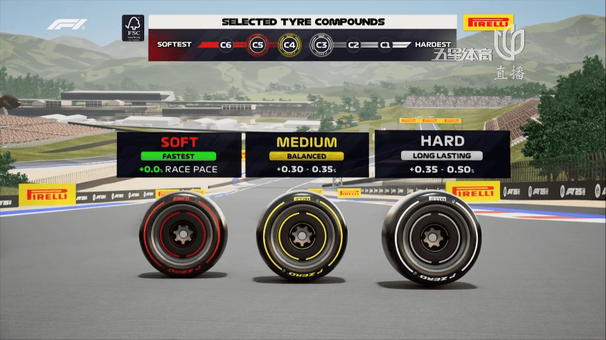 关于索伯车队险胜威廉姆斯,塞恩斯关键制胜的信息 关于索伯车队险胜威廉姆斯,塞恩斯关键制胜的信息