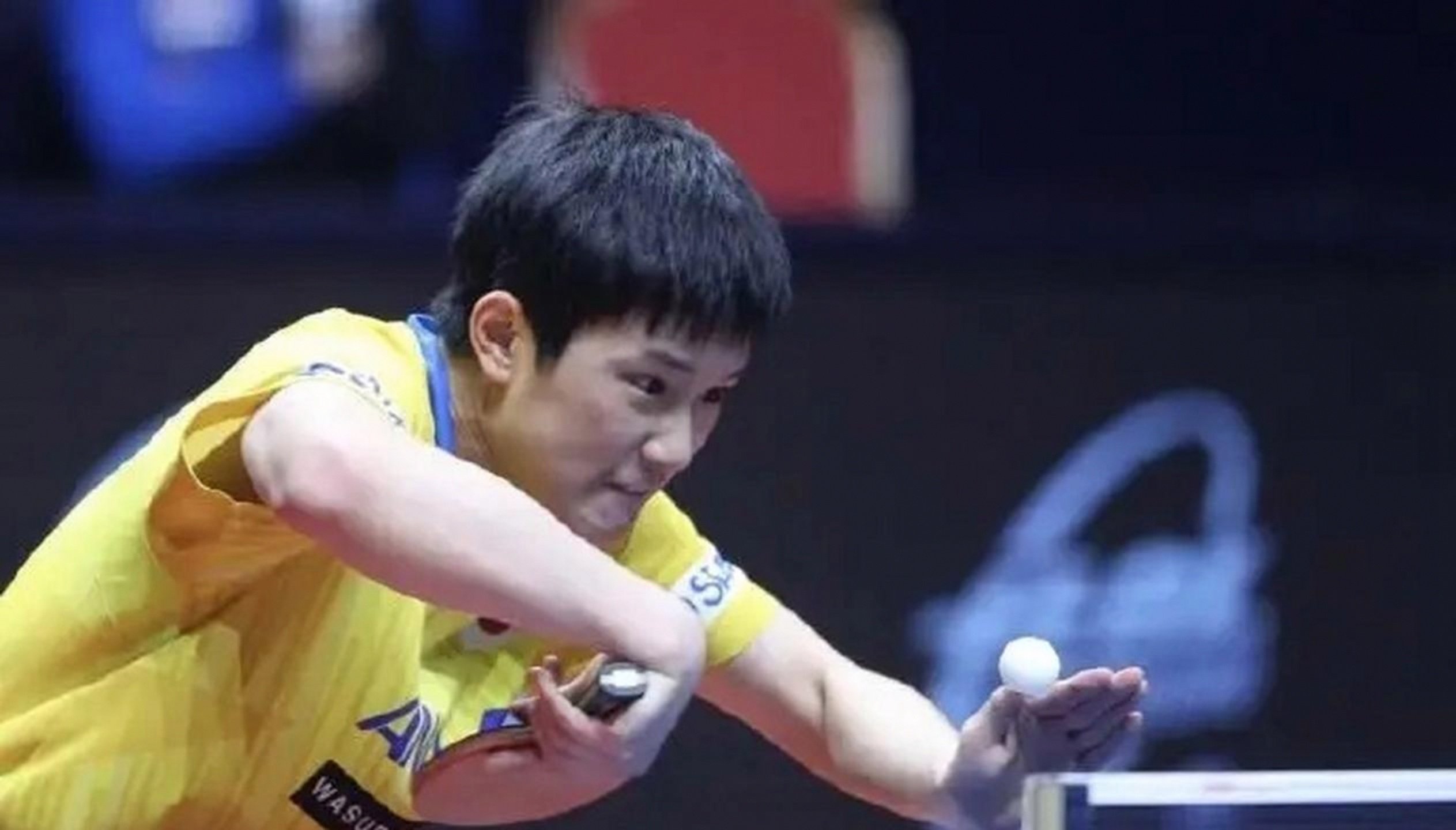 德国队横扫中国队，张本智和状态火热