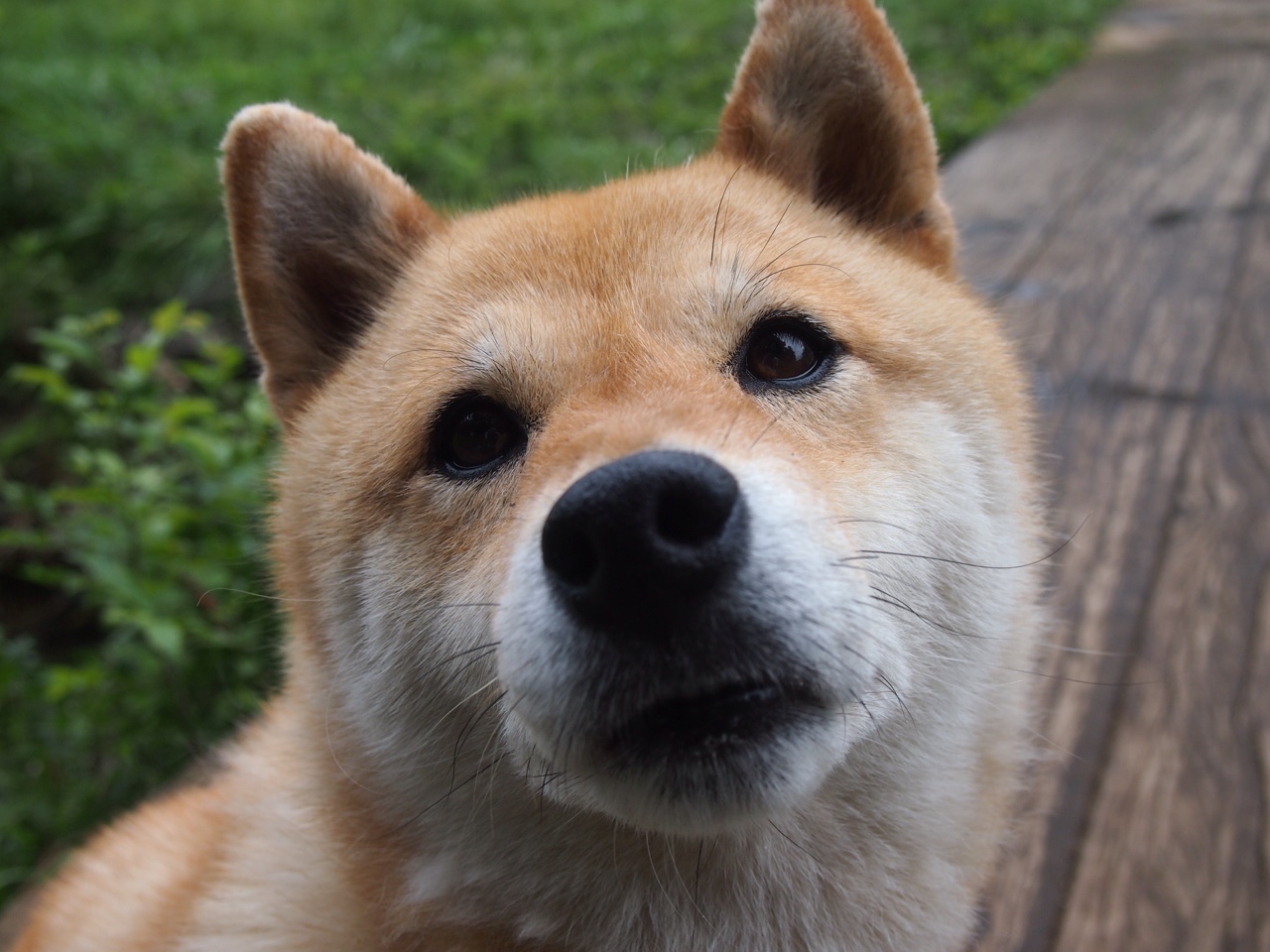 杜兰特东决封神夜，当深圳队的名字出现在密尔沃基的噩梦里